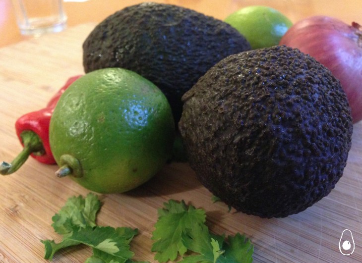 Guacamole-ingredients2